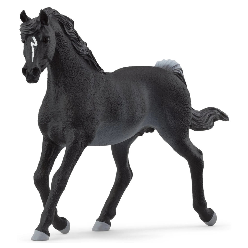 Schleich Horse Club 13981 Arabi hevonen, ori