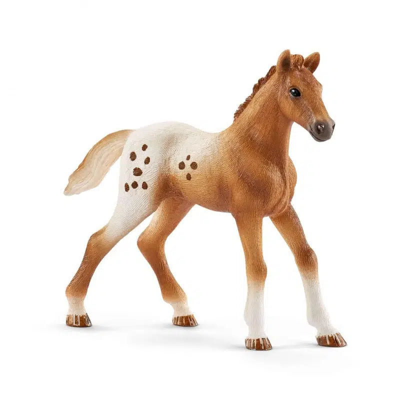 Schleich Horse Club Appaloosaavarsa