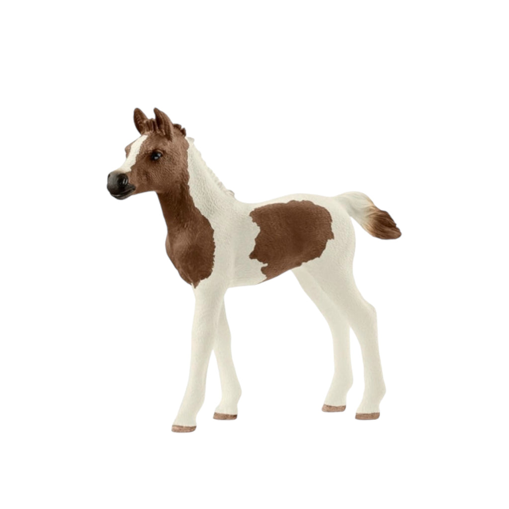 Schleich Horse Club 13839 Pintabian, varsa