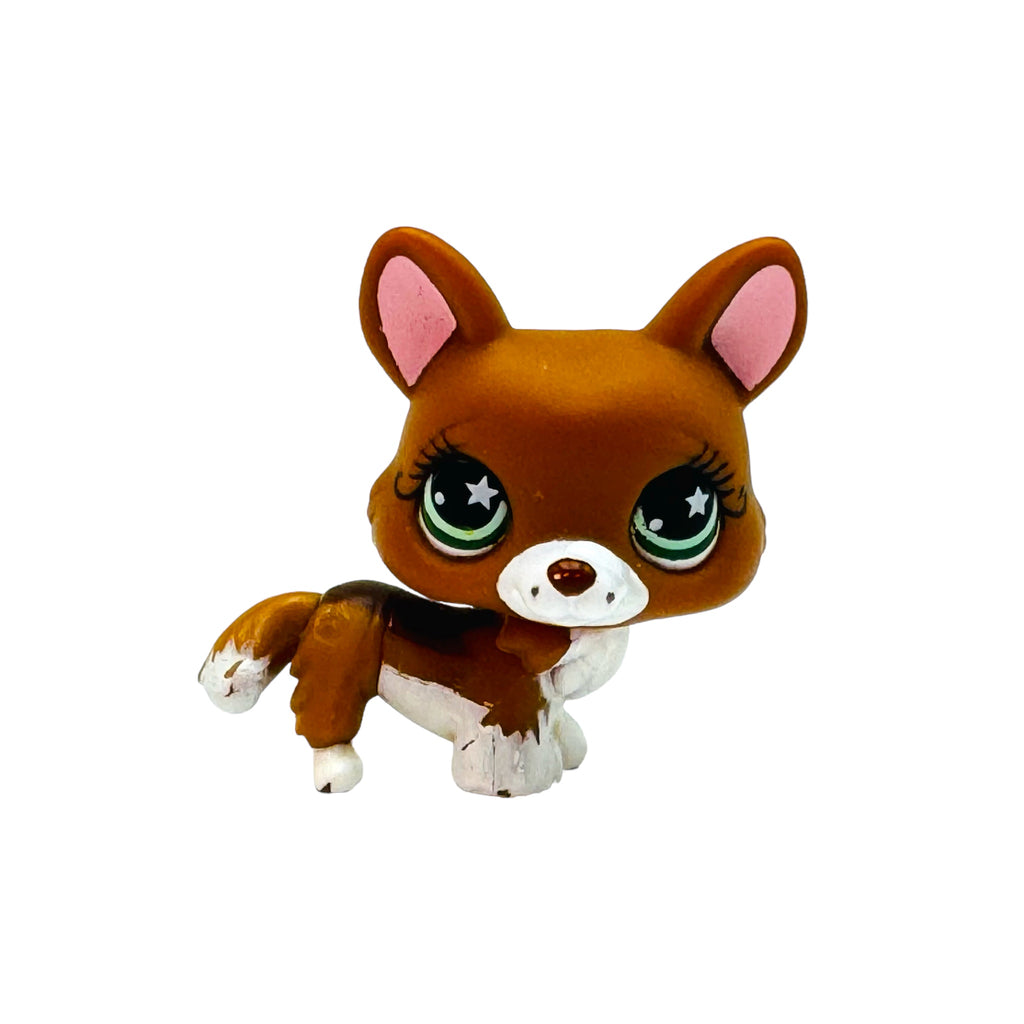 LPS koira corgi #897