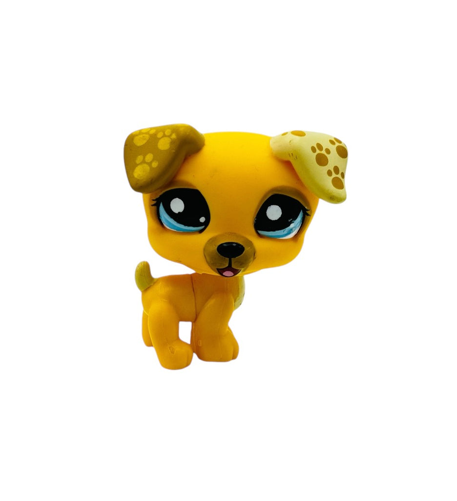 LPS koira Jack Russell #1496