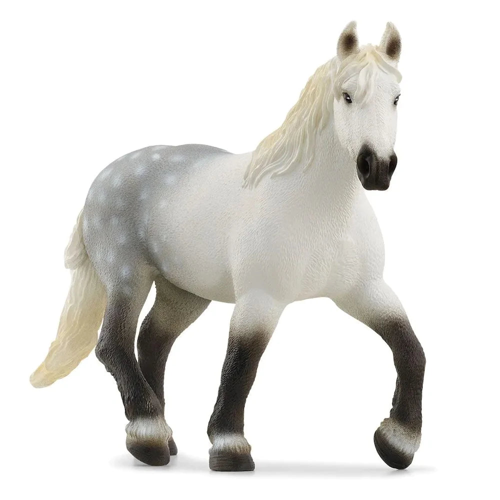 Schleich Horse Club 13971 Percheron hevonen