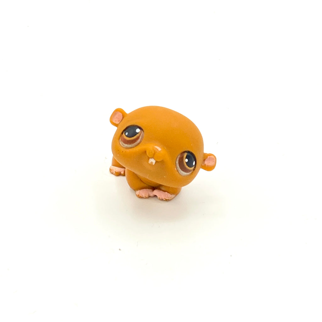 LPS hamsteri #35