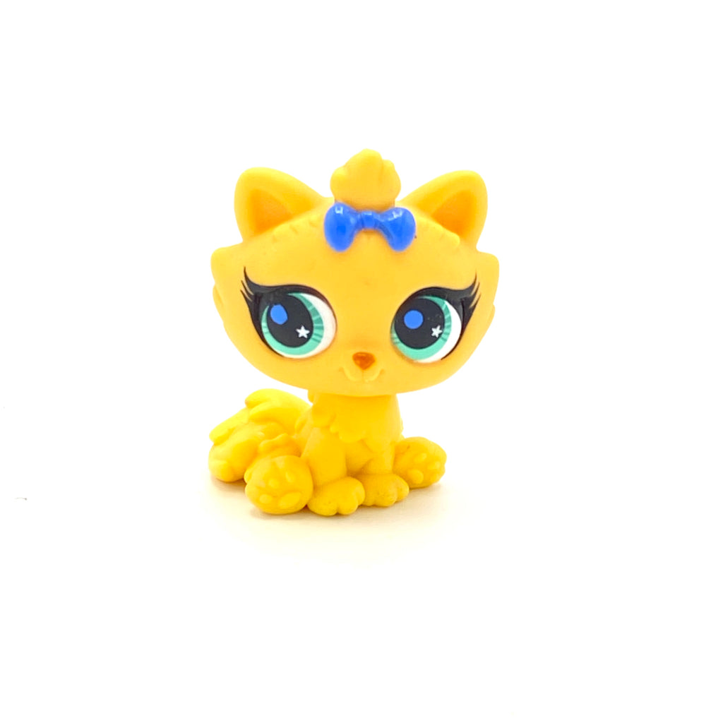 LPS kissa himalayan #2790