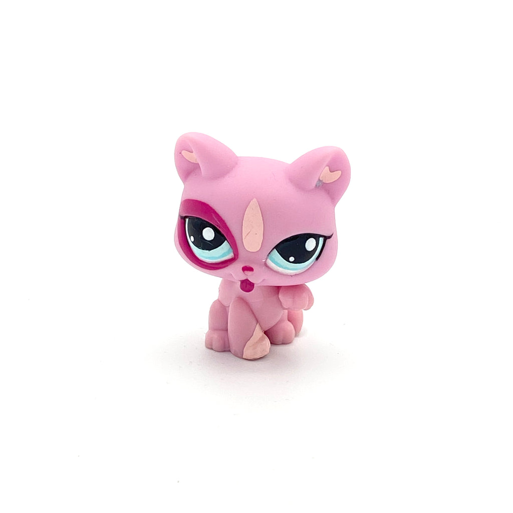 LPS kissa #2525