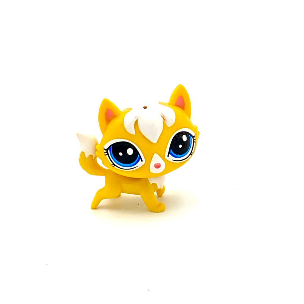 LPS kissa #61