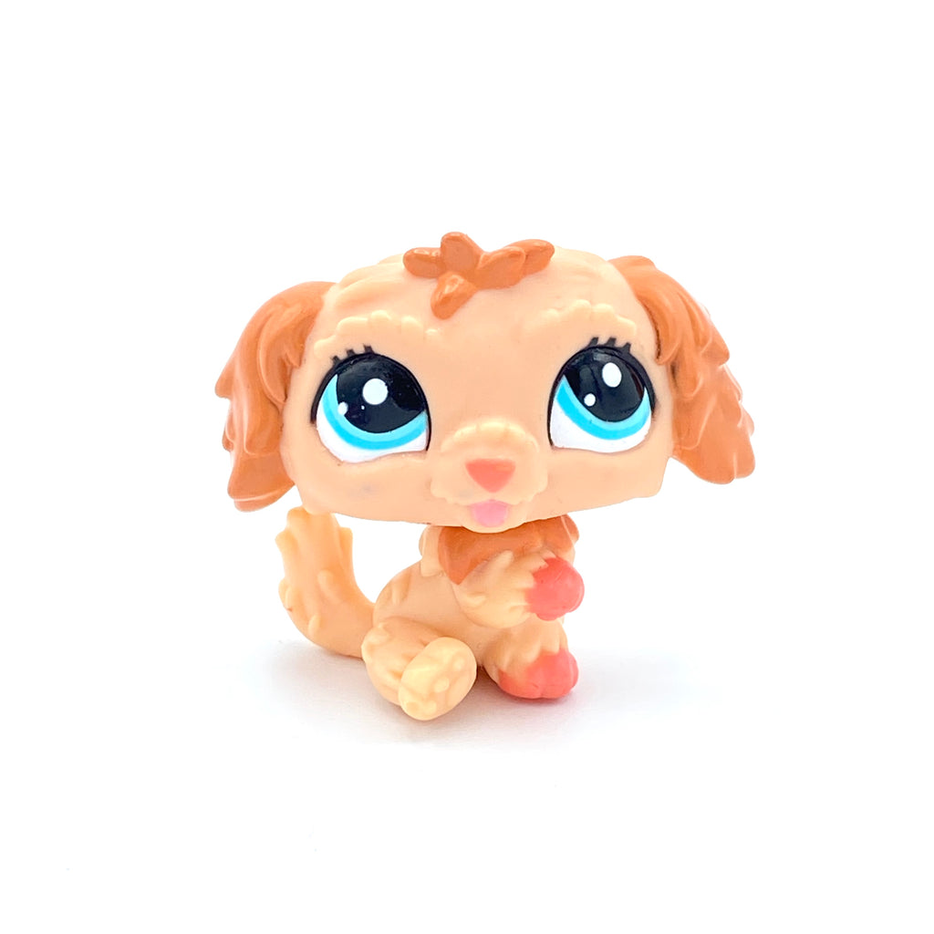 LPS koira labradoodle #2425