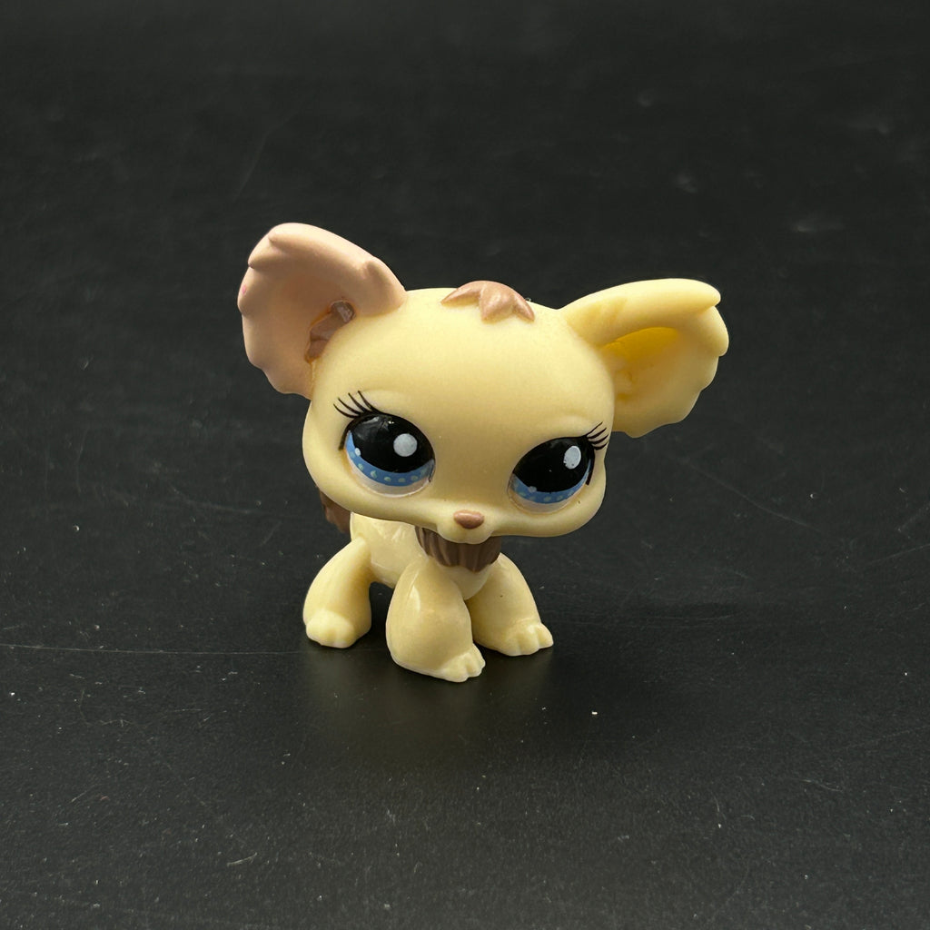 LPS chihuahua #1171